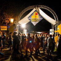 ANTNmania 2013