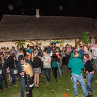 ANTNmania 2013