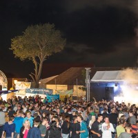 ANTNmania 2014
