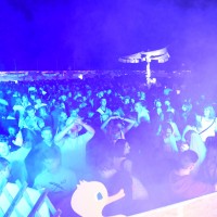 ANTNmania 2017