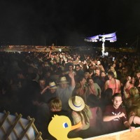 ANTNmania 2017