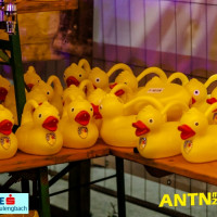 ANTNmania 2022