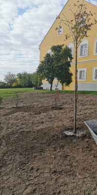 Pflanz-Werkstatt