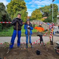Pflanz-Werkstatt